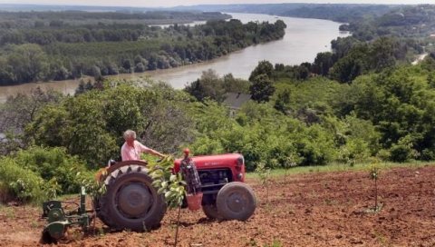 ОБЈАВЉЕН ПЛАН ИПАРД ЈАВНИХ ПОЗИВА ЗА 2021: Без трактора, али више пара за изградњу и опремање