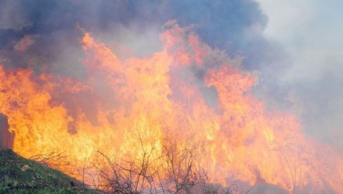 Sibir postaje tropsko mesto: Temperature premašuju i 30 stepeni – promena klime ostavlja TEŠKE POSLEDICE