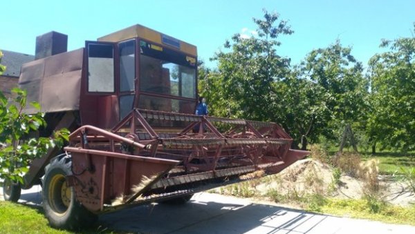 КРАЉИЦА ПОЉА У МИНУСУ ОВЕ ГОДИНЕ: Војвођански ратари све више одустају од сетве шећерне репе, а ево и зашто