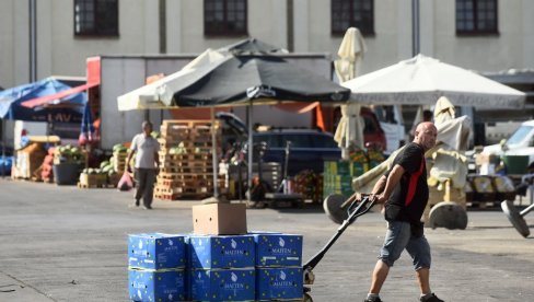 NA VELIKO NAJPRODAVANIJE TIKVICE: Stigle i jagode iz Grocke i Smedereva