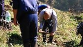 GRAD FINANSIRA POŠUMLJAVANJE: Šest hektara dobiće nove sadnice drveća GRAD FINANSIRA POŠUMLJAVANJE: Šest hektara dobiće nove sadnice drveća