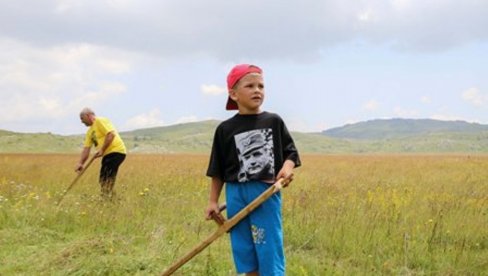 KOSI DEDA MIĆO, A RADOVAN PRIPOMAŽE: Na livadi Gvozna iznad Kalinovika, spala kosidba na dva nejaka