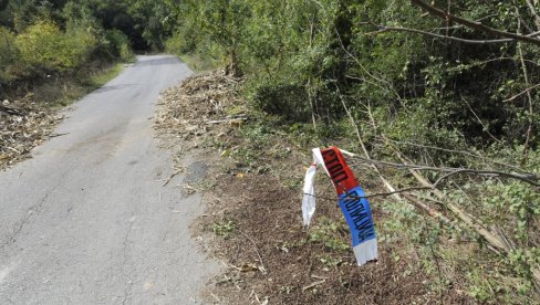 TRAGEDIJA KOD IVANJICE: Drvo udarilo muškarca (41), poginuo na licu mesta