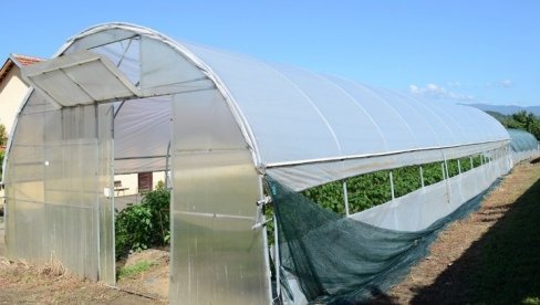 OSNOVA JE ZEMLJIŠTE: Kako do visokih i stabilnih prinosa povrća u plasteniku?