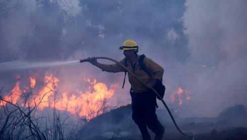 GORI 60 HEKTARA MAKIJE KOD KLADOVA: Vatrogasci spasili dva domaćinstva, srećom nema vetra