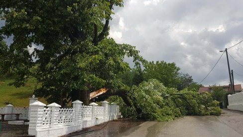 VETAR ČUPAO DRVEĆA, ELEKTRO STUBOVE, OTKRIVAO KROVOVE! U toku sanacija olujnog nevremena na području opštine Prnjavor