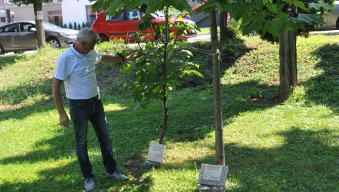 PARK SEĆANJA NA VELIKANE: U Vrnjačkoj Banji uskoro počinje izgradnja svojevrsnog memorijalnog kompleksa posvećenog našim glumcima