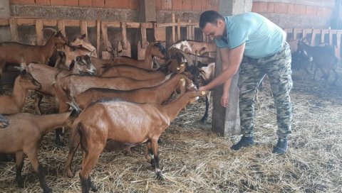 СВАДБЕНИ ДАРОВИ ЗА ФАРМУ КОЗА: Милош Радуловић и Јована Танаић из Ниша брачни живот започели као приватници