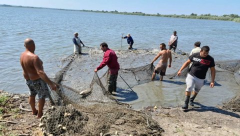 ДОБРО ОРГАНИЗОВАНЕ ГРУПЕ: Краду рибу и утерују страх - угрожавају безбедност запослених чувара