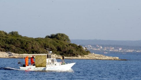 SRBI ZAUZELI BRIONE: Dok zbog straha od korone turisti napuštaju Hrvatsku, naši i ne pomišljaju na to