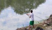 PECANJE NA BEGEJU: Preobraženje prošlo, ali ribolovaca još ima (FOTO)