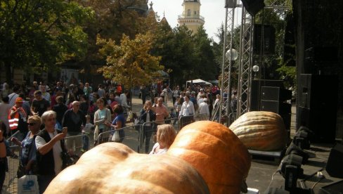 „ДАНИ ЛУДАЈЕ“ У КИКИНДИ БИЋЕ ОДРЖАНИ, АЛИ СКРОМНИЈЕ НЕГО РАНИЈЕ: Тикве без фруштука, карневала и концерата