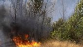 NOVI POŽAR BUKNUO U MAKARSKOJ: Vatrena stihija zahvatila borovu šumu