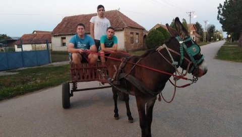 МАГАРЦА КУПИО ОД ЏЕПАРЦА: Бењамин Ердег, тинејџер из Банатске Тополе, пожелео необичног љубимца