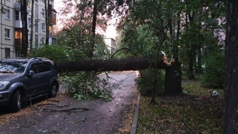 ОЛУЈА ЗАХВАТИЛА САНКТ ПЕТЕРБУРГ: Јак ветар оборио 300 стабала, уништио 14 аутомобила, најмање двоје повређено