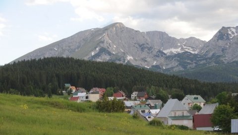 ФОТОГРАФИЈЕ ЧУДНЕ ЖИВОТИЊЕ СА ЖАБЉАКА КРУЖЕ ИНТЕРНЕТОМ: Нико не зна шта је у питању, слика изазвала лавину коментара