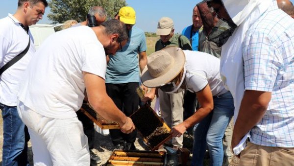 ОБУКА О ОРГАНСКОЈ ПРОИЗВОДЊИ: Почела бесплатна предавања на Пољопривредном факултету