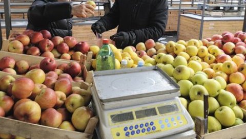 ИЗВОЗ ЈАБУКЕ НА СВЕТСКОМ ТРЖИШТУ ДАЈЕ ИЗВРСНЕ РЕЗУЛТАТЕ НА ПОЛОВИНИ СЕЗОНЕ: Отпутовало 70.000 тона