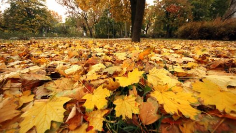 NAREDNIH DANA U SRBIJI ŽUTI METEOALARM: Meteorolozi najavili dve potencijalno opasne pojave