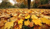 DOŠAO JE KRAJ LETA: Meteorolog Čubrilo otkrio kakva je jesen pred nama, ali i kad počinje - Stiže hladno vreme!