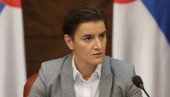 PAUNOVIĆEVA UMESTO SELAKOVIĆA? Šema resora u budućem kabinetu Ane Brnabić