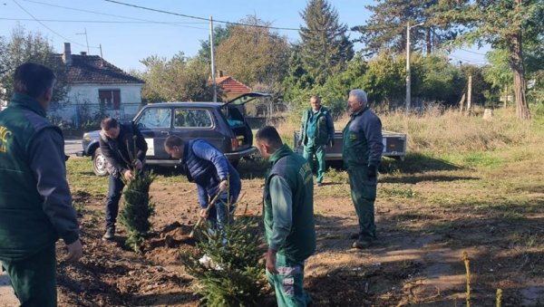 ЧИСТЕ ДЕПОНИЈЕ И САДЕ ЈЕЛКЕ: Еколошка акција градске општине Обреновац и локалних комуналних предузећа