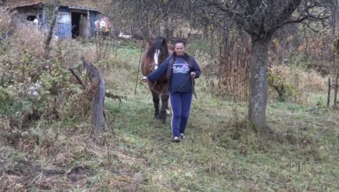 МЕЧКА РАСКОМАДАЛА КОЊА: Мештани голијских села у страху од крволочне звери