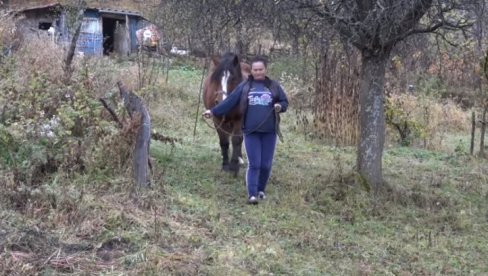 MEČKA RASKOMADALA KONJA: Meštani golijskih sela u strahu od krvoločne zveri