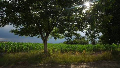 VREMENSKA PROGNOZA ZA UTORAK, 5. OKTOBAR: Uživajte u današnjem suncu, sutra sledi preokret!