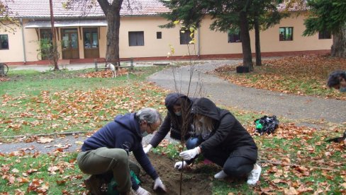 POMOĆ OSOBAMA SA INVALIDITETOM U NEGOTINU: Sadnjom breza obeležili uspešnu saradnju