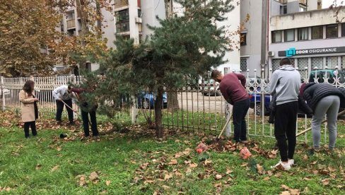 SADNICE NA POKLON Drveće zasađeno u osam školskih dvorišta u Smederevu SADNICE NA POKLON Drveće zasađeno u osam školskih dvorišta u Smederevu