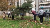 SADNICE NA POKLON Drveće zasađeno u osam školskih dvorišta u Smederevu SADNICE NA POKLON Drveće zasađeno u osam školskih dvorišta u Smederevu