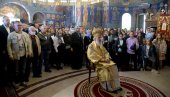 СИНОД ОДЛУЧИО: Он ће водити Цркву уместо патријарха Иринеја