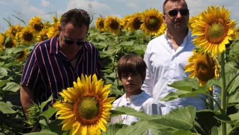 OSKAR BEZ PRAVILA I KOMISIJE: Nedoumice u vezi sa načinom izbora srpskog kandidata za prestižnu nagradu američke filmske akademije