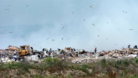 ОБЕЋАНО УХЛЕБЉЕЊЕ САКУПЉАЧИМА: Затварају се капије старе депоније у Винчи, “секундарцима” ће бити понуђена радна места у “Градској чистоћи”