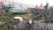 TRŽNI CENTAR POJEO KEDROVE: Nišlije ogorčene zbog seče drvoreda da bi se napravio ulaz u novi prodajni objekat