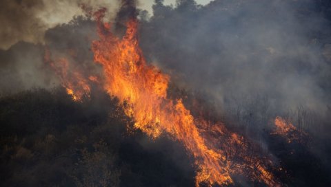 ВЕЛИКИ ПОЖАР У ГРЧКОЈ: Евакуисани мештани острва Хиос