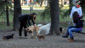 KAŽNJEN SAMO JEDAN VLASNIK: Šetališta i parkovi puni fekalnog otpada kućnih ljubimaca, sankcije retke