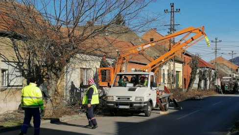 REŠEN PROBLEM SA STRUJOM U VRŠCU: Čim je stao olujni vetar, komunalci orezali problematične grane