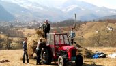 САМО ИМ СНЕГ ФАЛИ: Брину за дивљач у Парку природе Цицељ