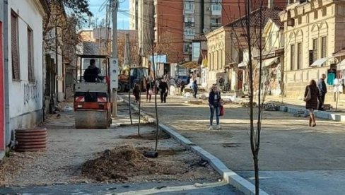 PROJEKAT „ZELENA SRBIJA“ U VRANJU: Posadili 20 sadnica belog graba