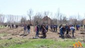 СЕЧАЊ САДИ СВОЈЕ ДРВО: Припреме су завршене, следеће године креће пошумљавање општине