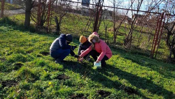 ВРШАЧКИ ОСНОВЦИ САДИЛИ ДРВЕЋЕ: Ученици ОШ „Паја Јовановић“ прикључили се акцији „Посади свој хлад“