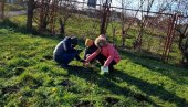 VRŠAČKI OSNOVCI SADILI DRVEĆE: Učenici OŠ „Paja Jovanović“ priključili se akciji „Posadi svoj hlad“