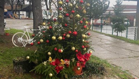 ПОМОЋ ПОРОДИЦАМА: Град Београд исплатио надокнаду за родитеље тројки, четворки и дуплих близанаца, а стигле и јелке