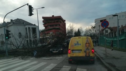 ВЕТАР ПРАВИ ХАОС У БАЊАЛУЦИ: Код зграде Владе дрво пало на аутомобил! (ФОТО)