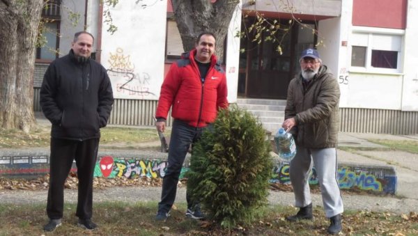 ПОСАДИ СВОЈ ХЛАД: Најављена велика акција у Зрењанину