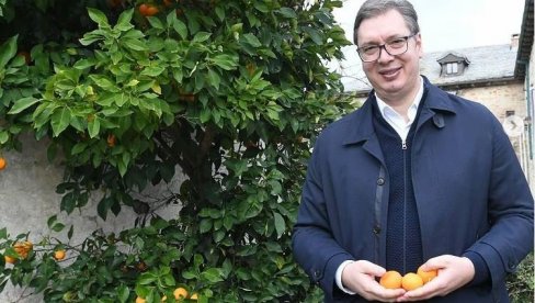 „ZA MOG DANILA, MOJU MILICU I MOG VUKANA“: Predsednik Vučić sa Hilandara svojoj deci nosi poseban poklon (FOTO)