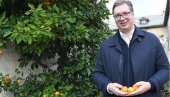 „ZA MOG DANILA, MOJU MILICU I MOG VUKANA“: Predsednik Vučić sa Hilandara svojoj deci nosi poseban poklon (FOTO)