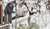 УЗЕЛИ СТВАР У СВОЈЕ РУКЕ: Јагодинци се латили лопата да би очистили снег УЗЕЛИ СТВАР У СВОЈЕ РУКЕ: Јагодинци се латили лопата да би очистили снег